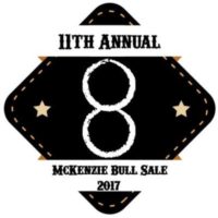McKenzie Bull Sale 2017