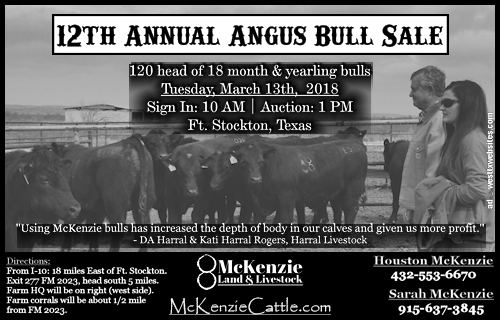 McKenzie Bull Sale 2018