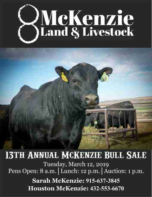 McKenzie Bull Sale 2019