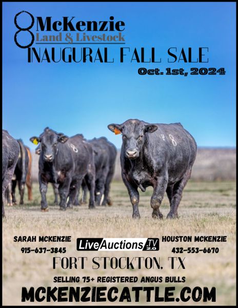 McKenzie Bull Sale Fall Sale 2024