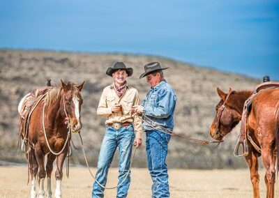 McKenzie Bull Sale