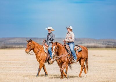 McKenzie Bull Sale