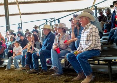 McKenzie Bull Sale